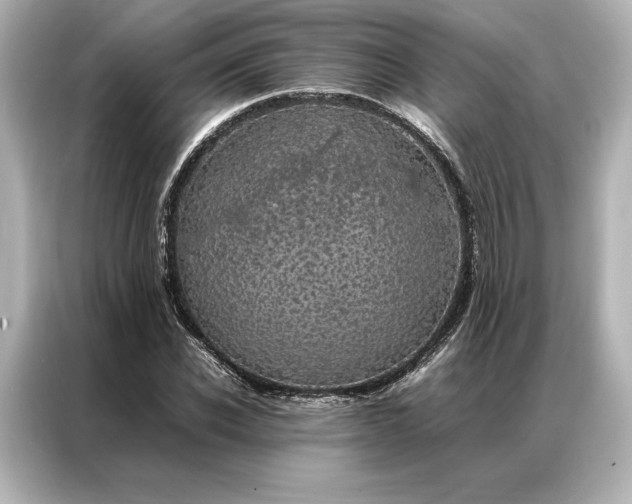 X0000086890926200704300954