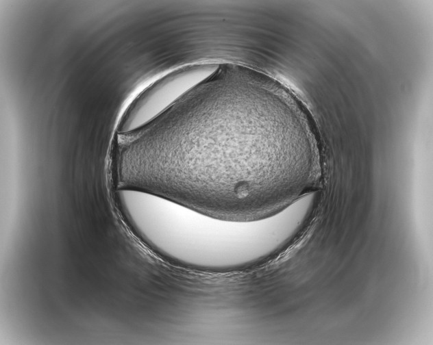 X0000086890928200704300954