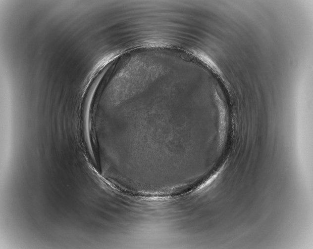 X0000086890930200704300954