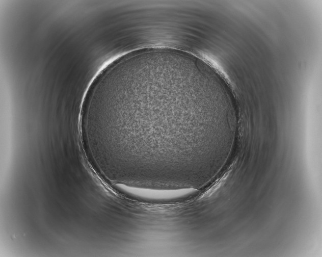 X0000086890932200704300954