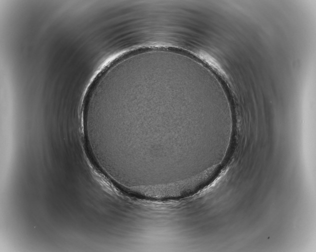 X0000086890934200704300954