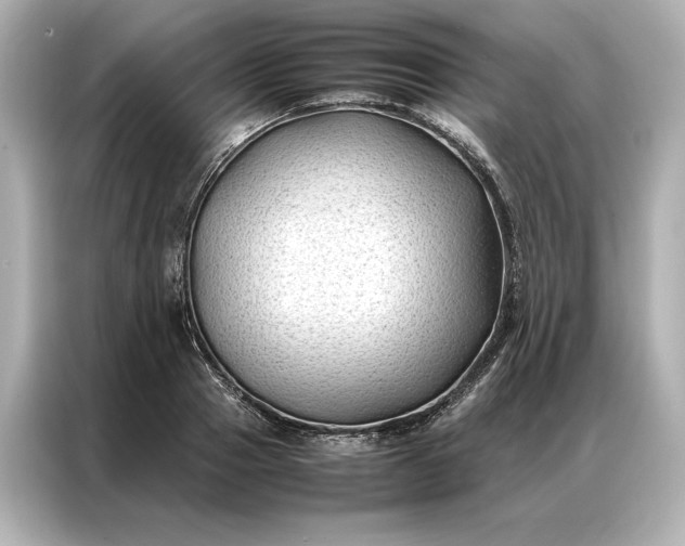 X0000086890937200704300954