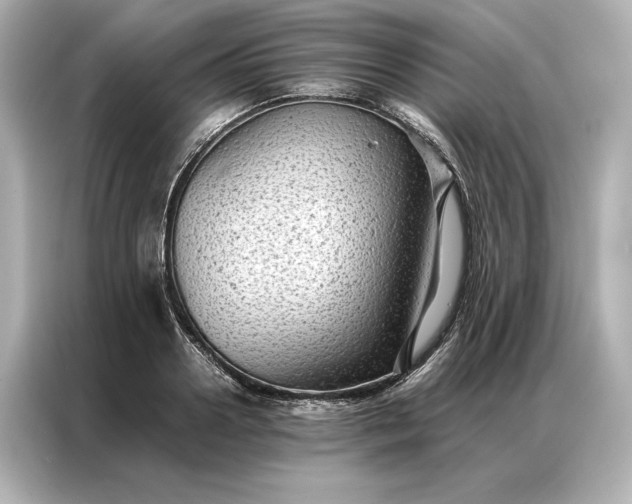 X0000086890938200704300954