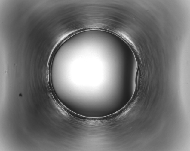 X0000086890940200704300954