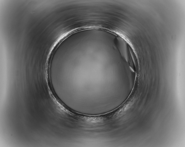 X0000086890941200704300954