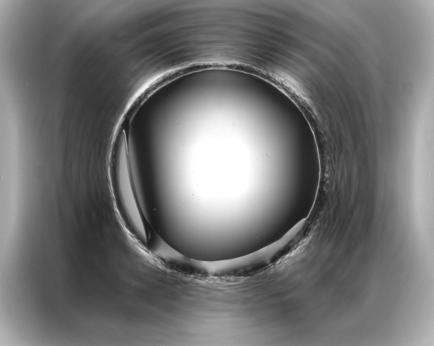 X0000086890942200704300954