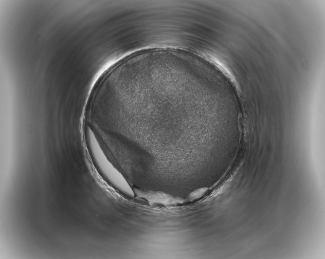 X0000086890944200704300954