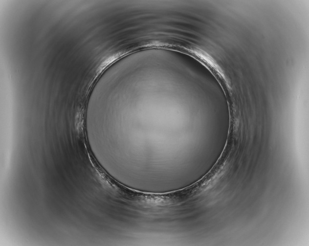 X0000086890945200704300954