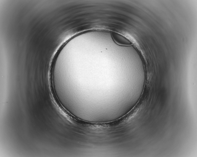 X0000086890947200704300954