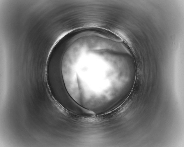 X0000086890948200704300954