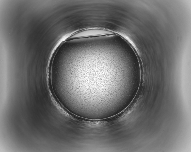 X0000086890949200704300954