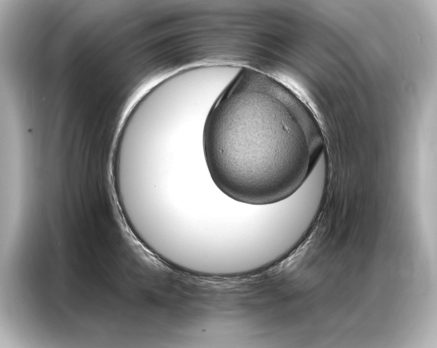 X0000086890952200704300954