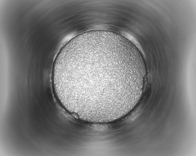 X0000086890954200704300954