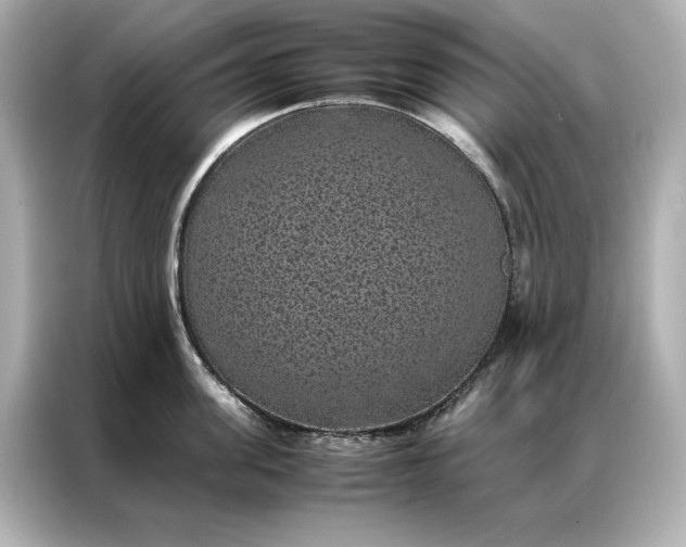 X0000086890955200704300954