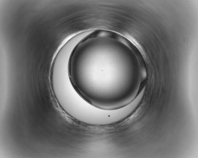 X0000086890956200704300954