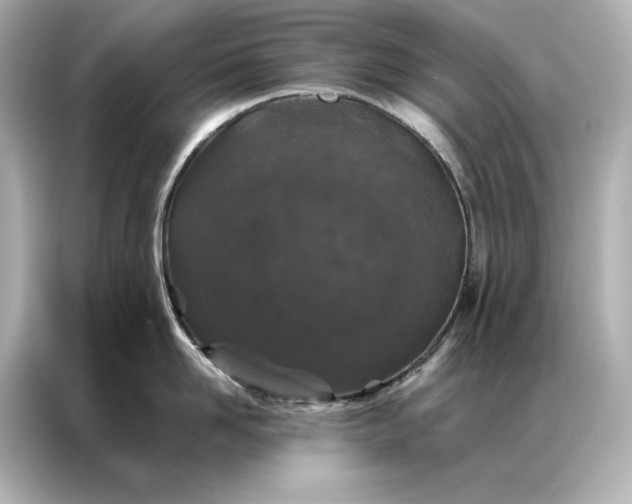 X0000086890958200704300954