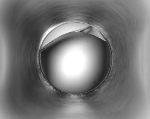 X0000086890960200704300954