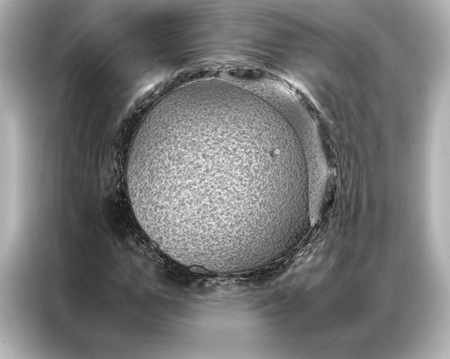 X0000086890967200704300953