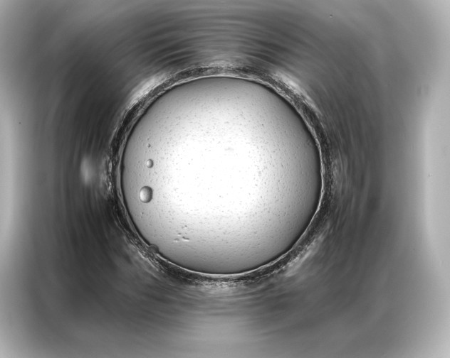 X0000086890970200704300953