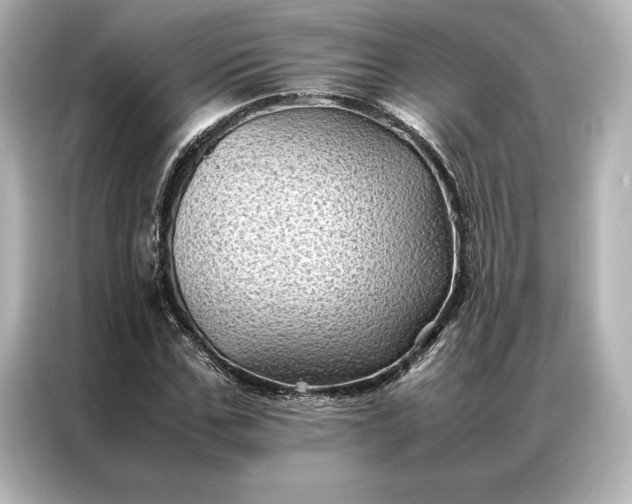 X0000086890971200704300953