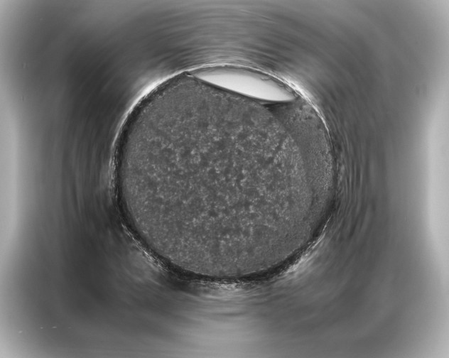 X0000086890975200704300953