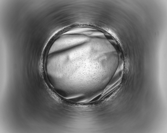 X0000086890976200704300953