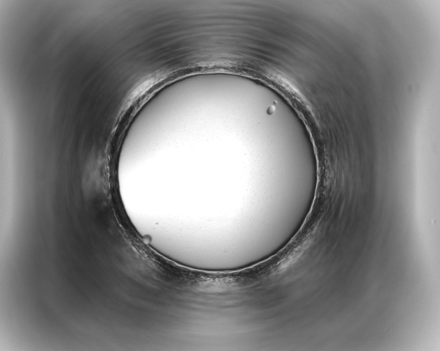 X0000086890978200704300953