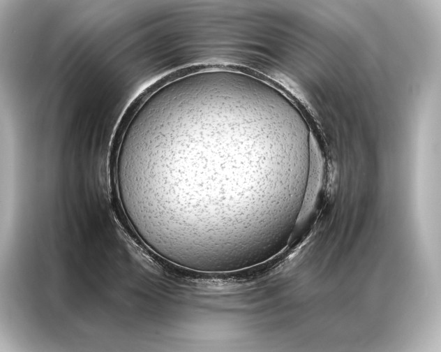 X0000086890980200704300953