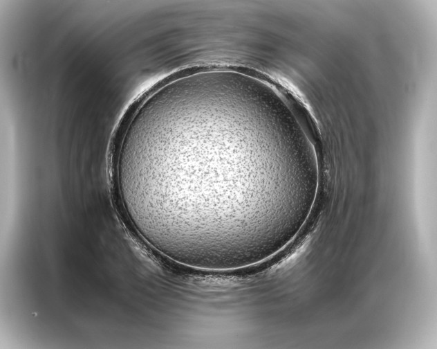 X0000086890981200704300953