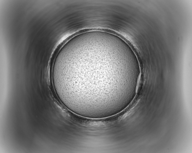 X0000086890982200704300953