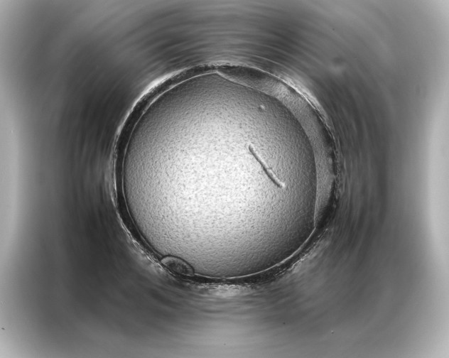 X0000086890984200704300953