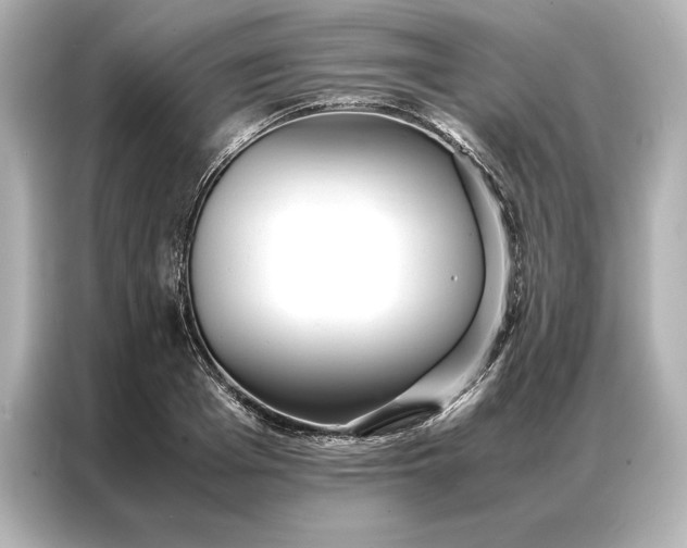 X0000086890985200704300953