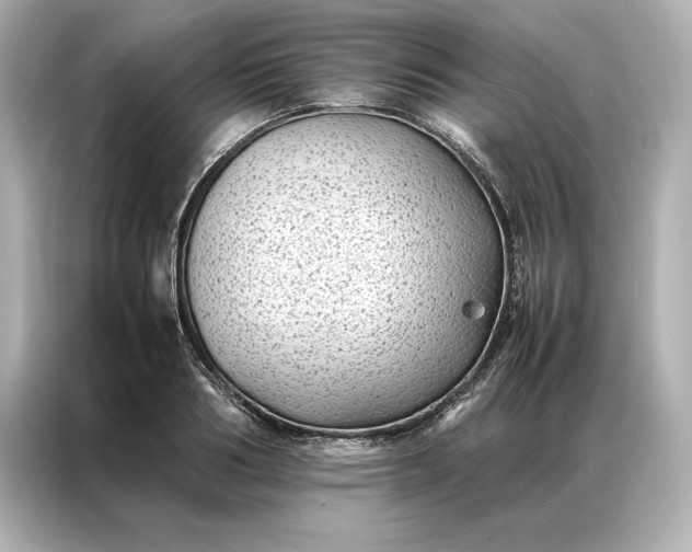 X0000086890986200704300953