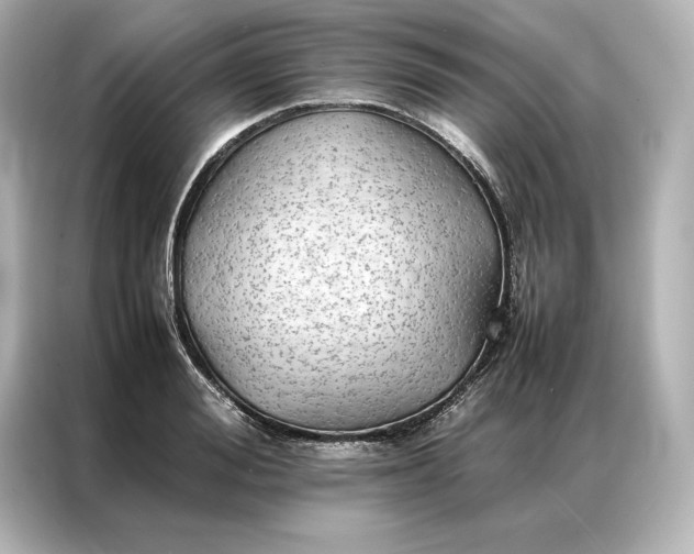 X0000086890988200704300953