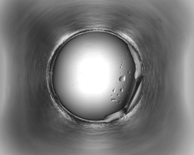 X0000086890989200704300953