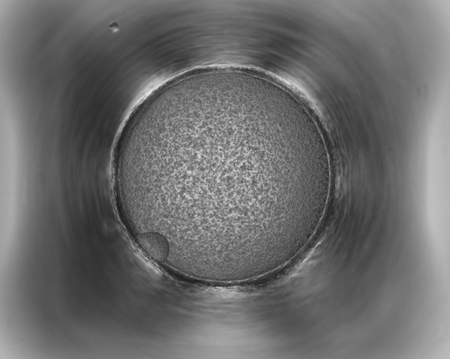 X0000086890990200704300953