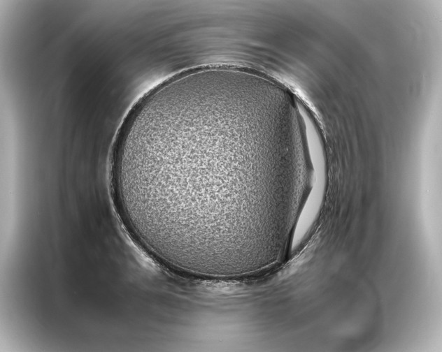 X0000086890991200704300953