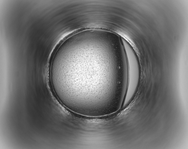 X0000086890992200704300953