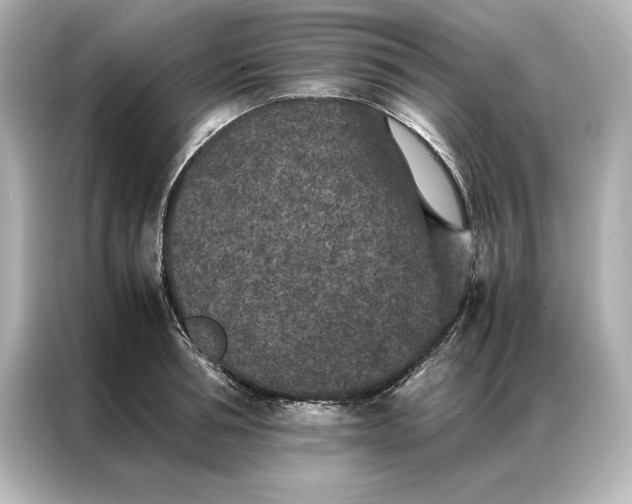 X0000086890994200704300953