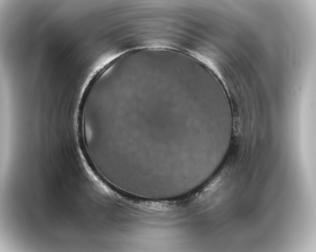 X0000086890995200704300953