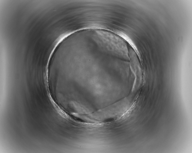 X0000086890996200704300953