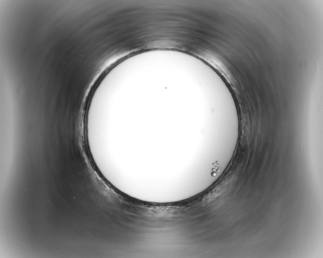 X0000086891000200704300953