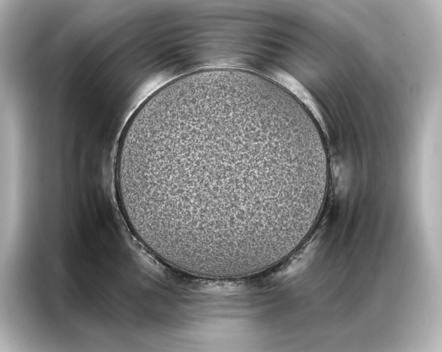 X0000086891002200704300953