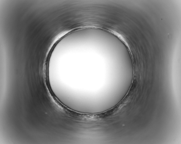 X0000086891003200704300953