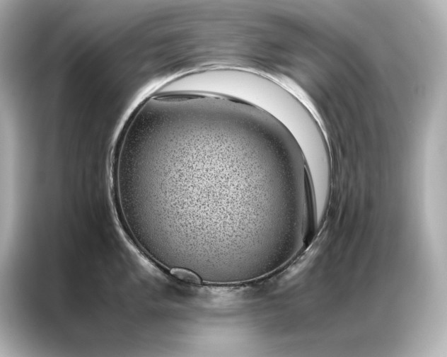 X0000086891005200704300953