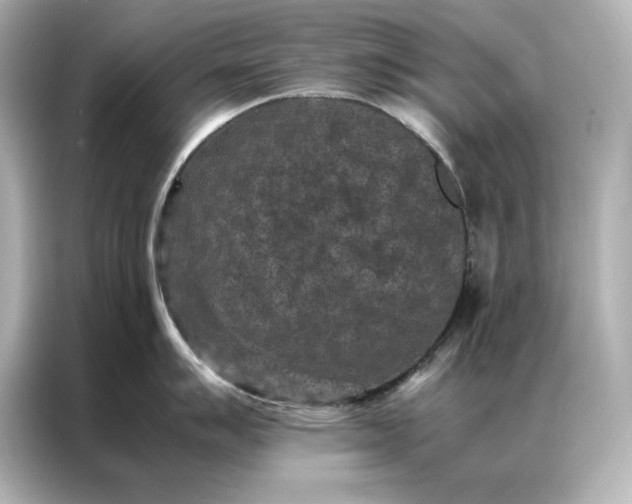 X0000086891007200704300953