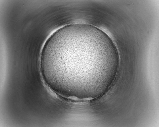 X0000086891008200704300953