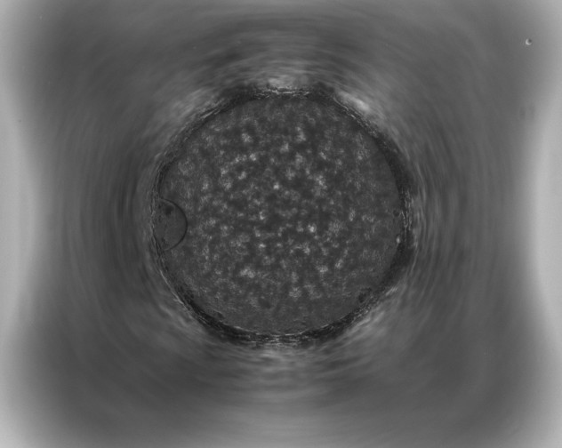 X0000086891009200704300952