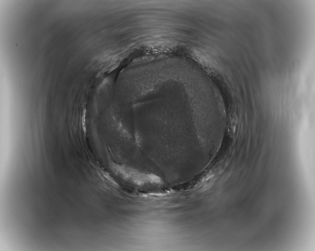 X0000086891010200704300952