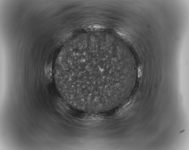 X0000086891011200704300952